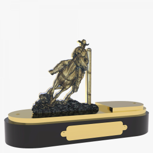 PADRO BSICO 010