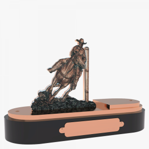 PADRO BSICO 010